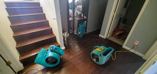 Best Water damage cleanup near me  in Cedar Park, TX