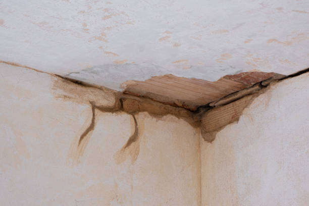 Best Basement water damage restoration  in Cedar Park, TX