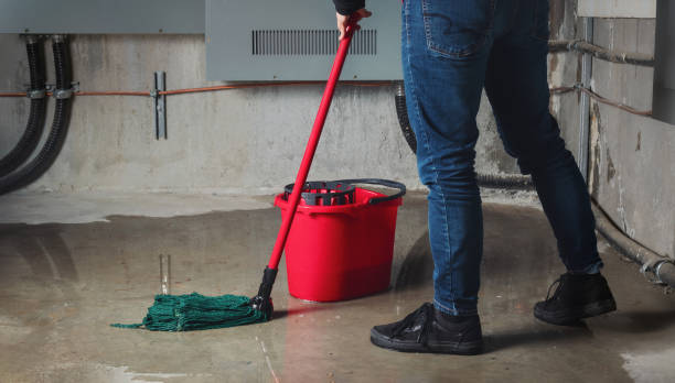 Best Water damage restoration insurance claims  in Cedar Park, TX