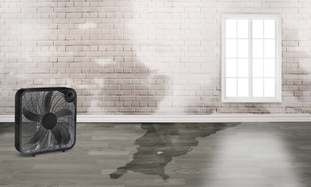 Best Emergency water damage restoration  in Cedar Park, TX