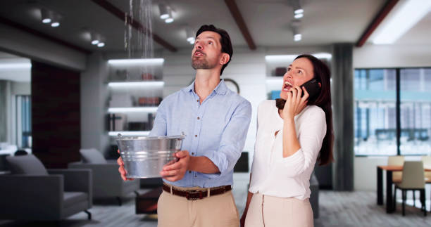 Best Water damage restoration company  in Cedar Park, TX