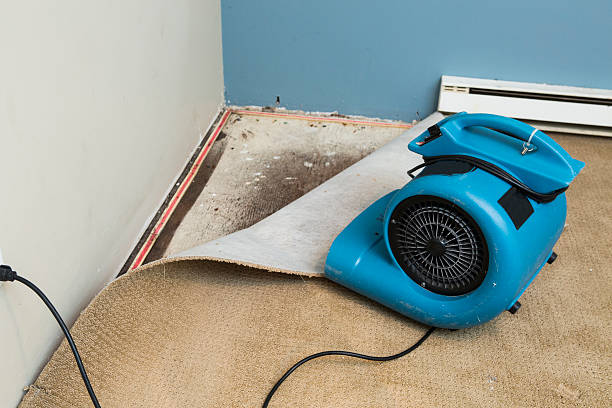 Best Water damage restoration experts  in Cedar Park, TX